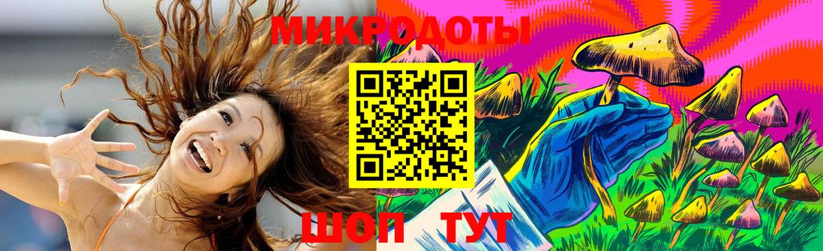 Псилоцибиновые грибы прущие грибы  Вход с VPN  Котовск 